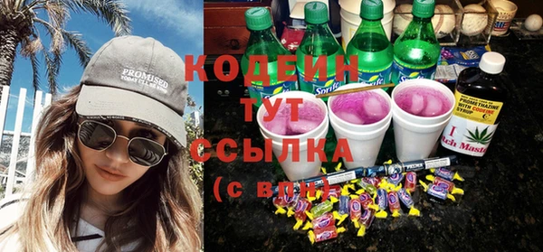 индика Балахна