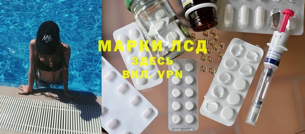 индика Балахна