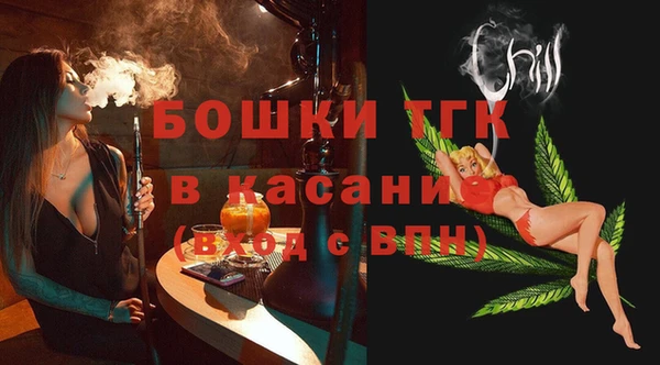 индика Балахна