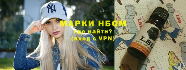 шишки Баксан