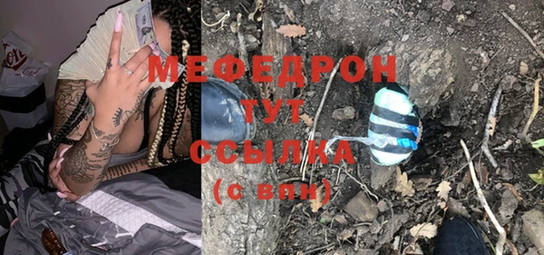 индика Балахна